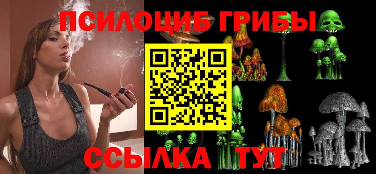 Псилоцибиновые грибы ЛСД Донской