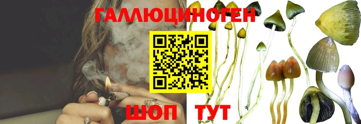 Донской  Псилоцибиновые грибы Magic Shrooms  Вход с VPN 
